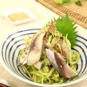 「キャベツとしめ鯖のおつまみサラダ」のレシピ動画
