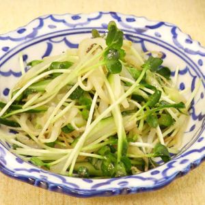 「もやしとかいわれのサラダ」のレシピ動画