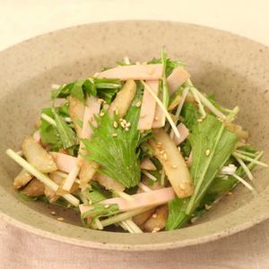 「ごぼうと水菜のごま酢サラダ」のレシピ動画