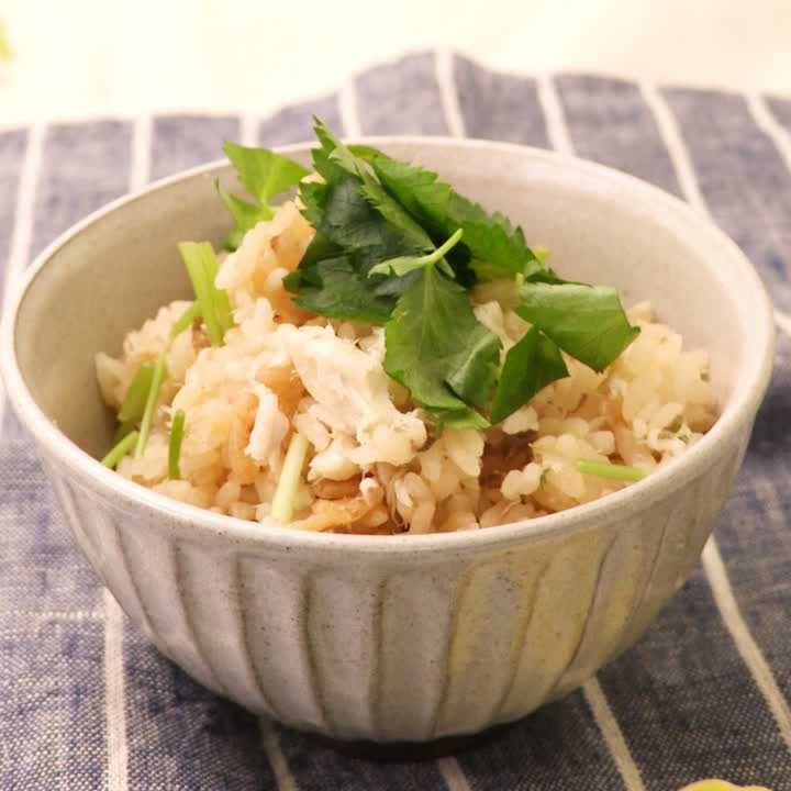 アジごはん