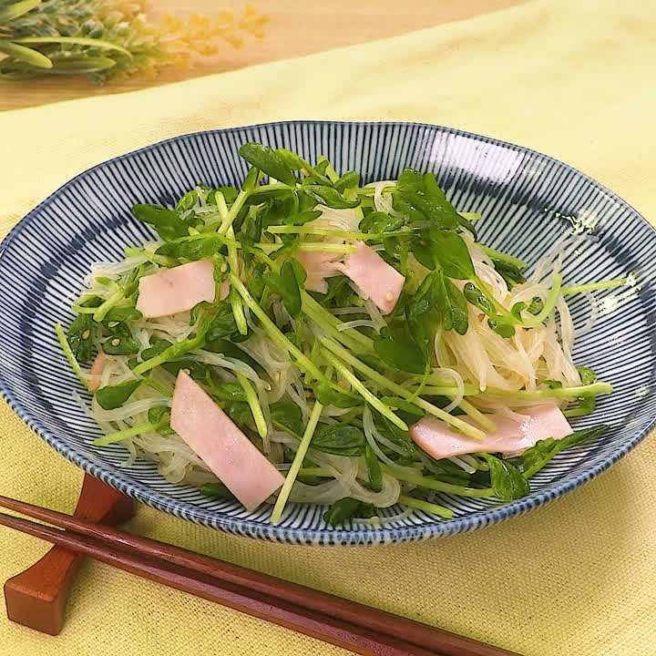 豆苗と春雨のサラダ