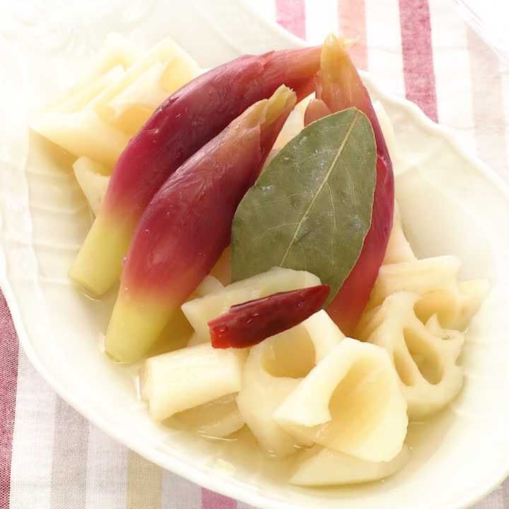 れんこんとみょうがのピクルス