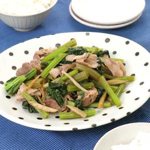 「葉ごぼうと豚肉の甘辛炒め」のレシピ動画