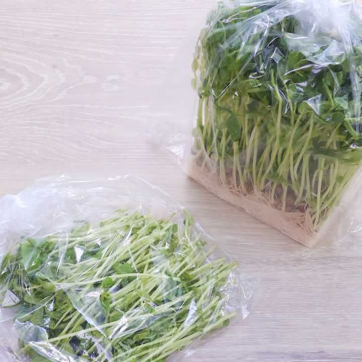 豆苗の保存方法