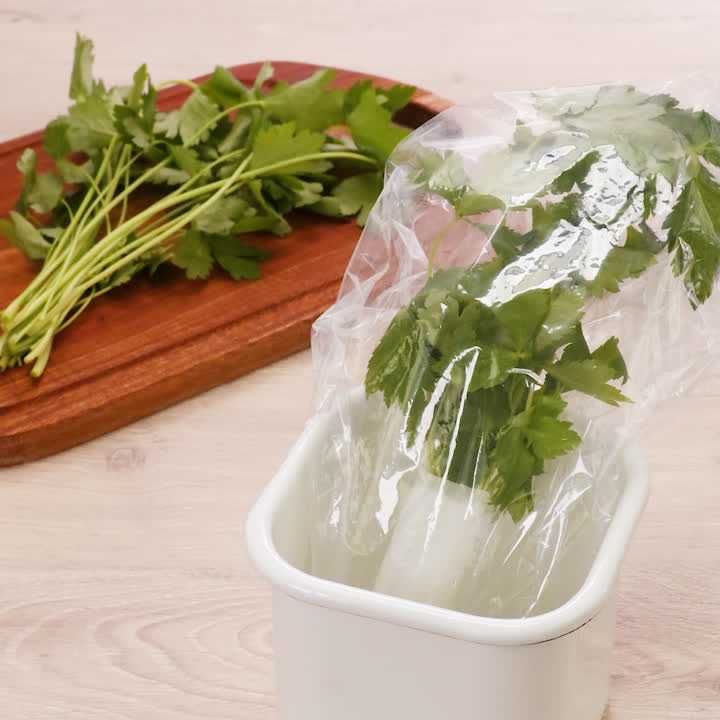 三つ葉の保存方法