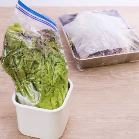 料理の基本 サニーレタスの保存方法のレシピ動画 作り方 Delish Kitchen