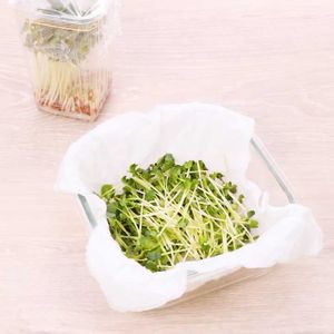 かいわれ大根の保存方法
