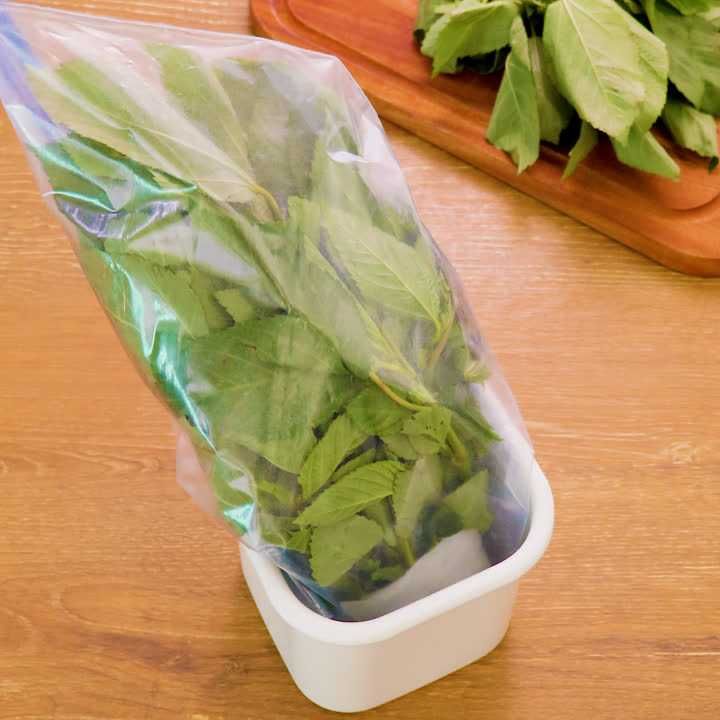 葉野菜の種類を一覧で解説 レシピもご紹介 Delish Kitchen 葉野菜の種類を一覧で解説 レシピもご紹介 Delish Kitchen