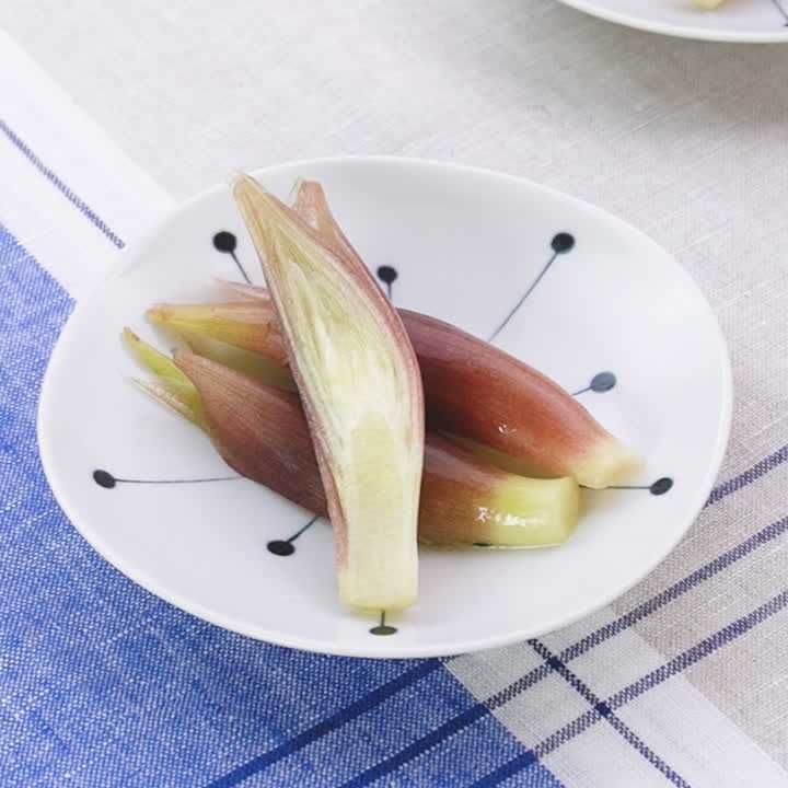 みょうがの塩漬け