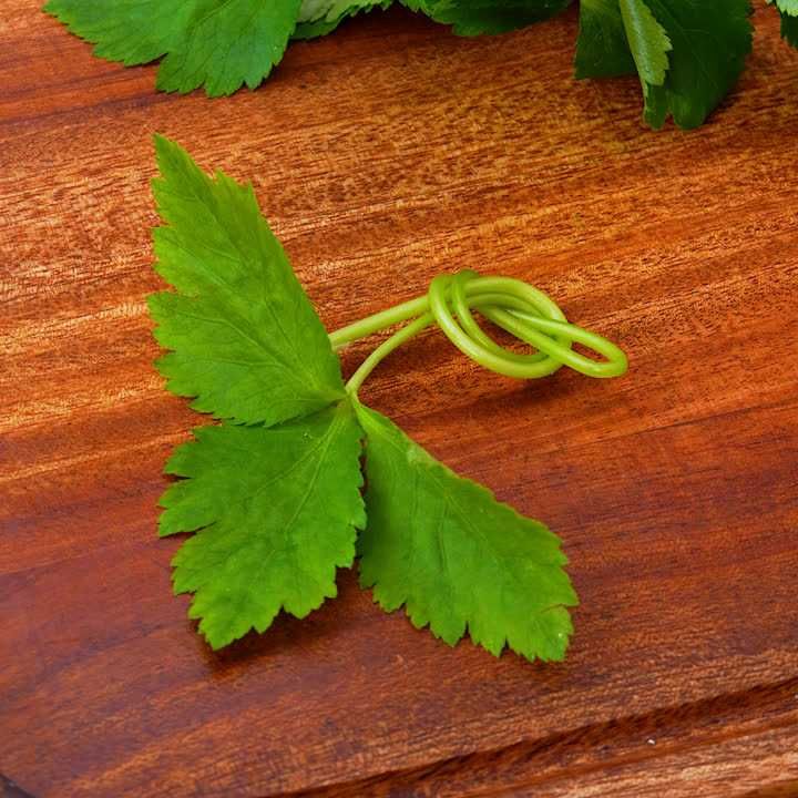 結び三つ葉の作り方