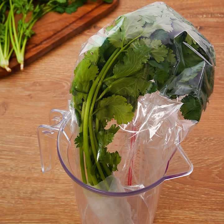 料理の基本！ パクチーの保存方法のレシピ動画・作り方 | デリッシュキッチン
