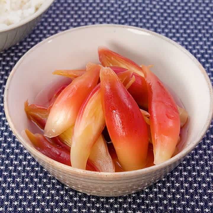 みょうがの簡単甘酢漬け