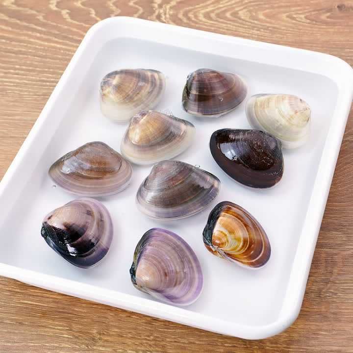 時短ではまぐりの砂抜き