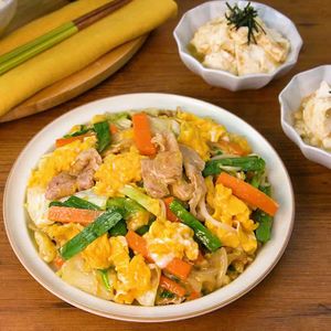 とろたま肉野菜炒め献立